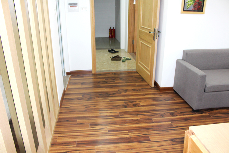 New Serviced Apartment on Nguyen Hong Str. 